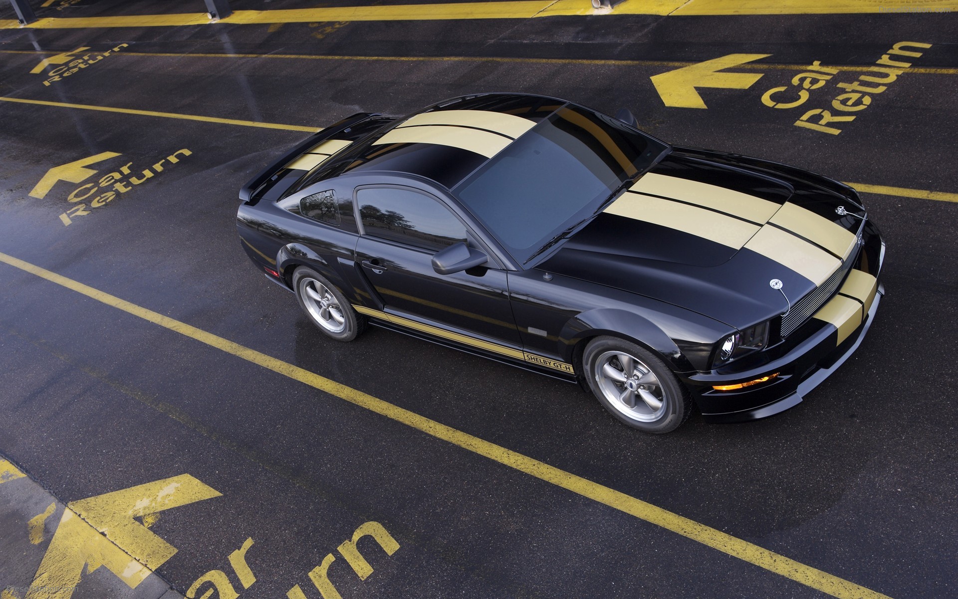 Ford Shelby GT-H